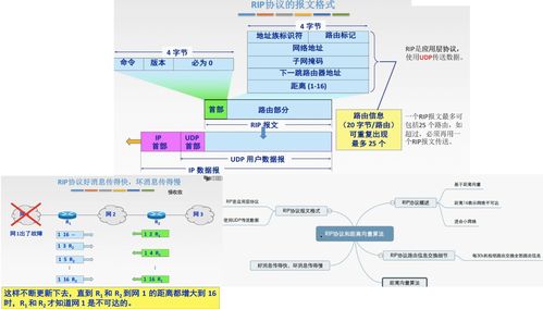 網(wǎng)絡(luò)層 計(jì)算機(jī)網(wǎng)絡(luò)平臺(tái)開(kāi)發(fā)與建設(shè)的核心基石